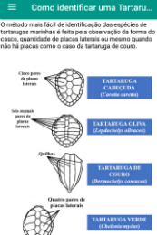 Imagem: Reprodução da área do aplicativo na qual há informações sobre as espécies de tartaruga que vivem no litoral cearense (Imagem: Reprodução/Tartarugando)