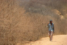 Imagem: As propostas aprovadas objetivam o desenvolvimento de tecnologias para a adaptação das populações às condições da região semiárida cearense e para a exploração de sua biodiversidade de forma sustentável (Foto: Divulgação / Ministério do Meio Ambiente)