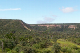 Imagem: A publicação apresenta 130 imagens de plantas pertencentes a 35 famílias e 89 espécies vegetais encontradas na Floresta Nacional do Araripe-Apodi  (Foto: Divulgação)