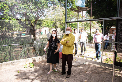 A Profª Mary Anne Bandeira, coordenadora do Horto de Plantas Medicinais, apresenta a estufa de preparação de mudas ao vice-reitor da UFC, Prof. Glauco Lobo Filho