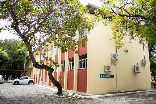 Imagem: foto do bloco didático da Geologia, com árvore à frente do prédio de dois andares