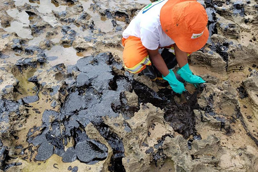 Imagem: Desde 2019, repetidos derramamentos de óleo têm sido identificados e estudados (Foto: Agência Petrobras)