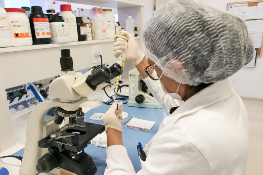 Imagem: pesquisadora observa material em microscópio