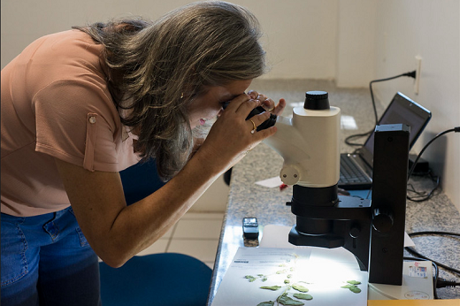 Imagem: Pesquisadores do Centro de Ciências se destacam pela produção científica e colaboram para a internacionalização da UFC (Foto: Júnior Panela)