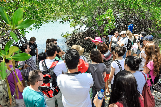 Imagem:  Entre os projetos a serem contemplados estão os de temática ligada a sustentabilidade ambiental (Foto: Ribamar Neto/UFC)