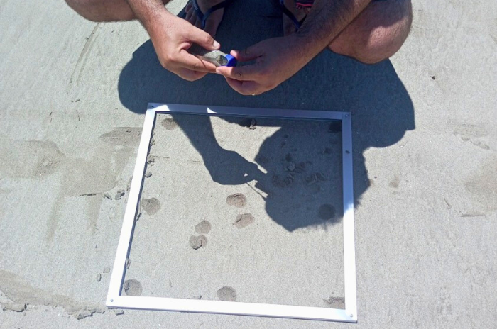 Imagem: Os pesquisadores já coletaram mais de 6.700 amostras de água e areia em 750 praias localizadas em 300 municípios ou distritos (Imagem: arquivo pessoal/Guilherme Malafaia)